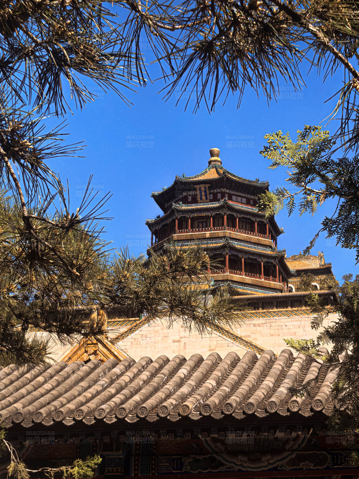 古塔松柏藍(lán)天景