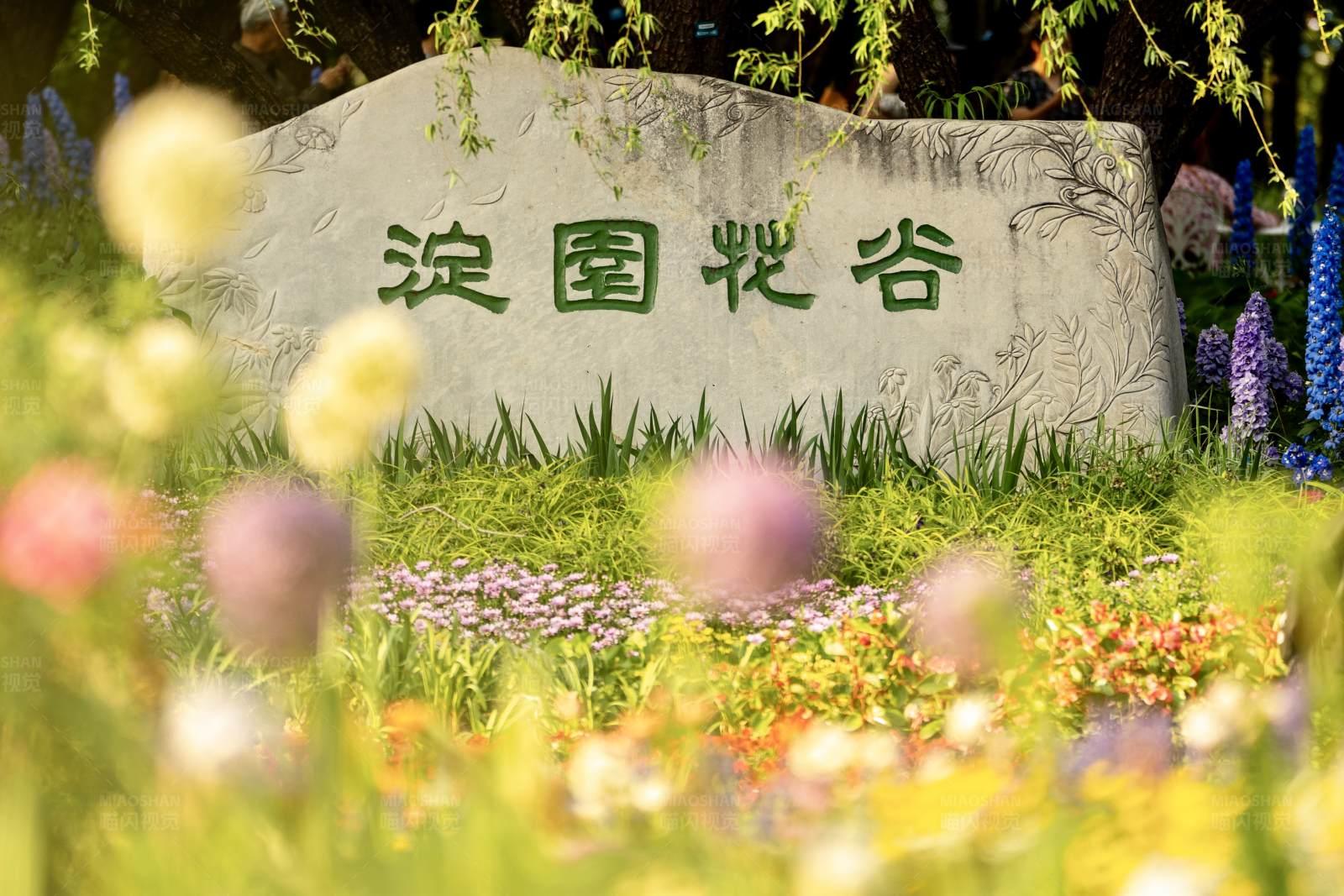 淀園花谷景區(qū)