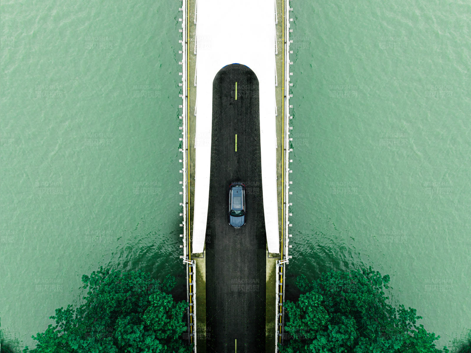 橋上孤車