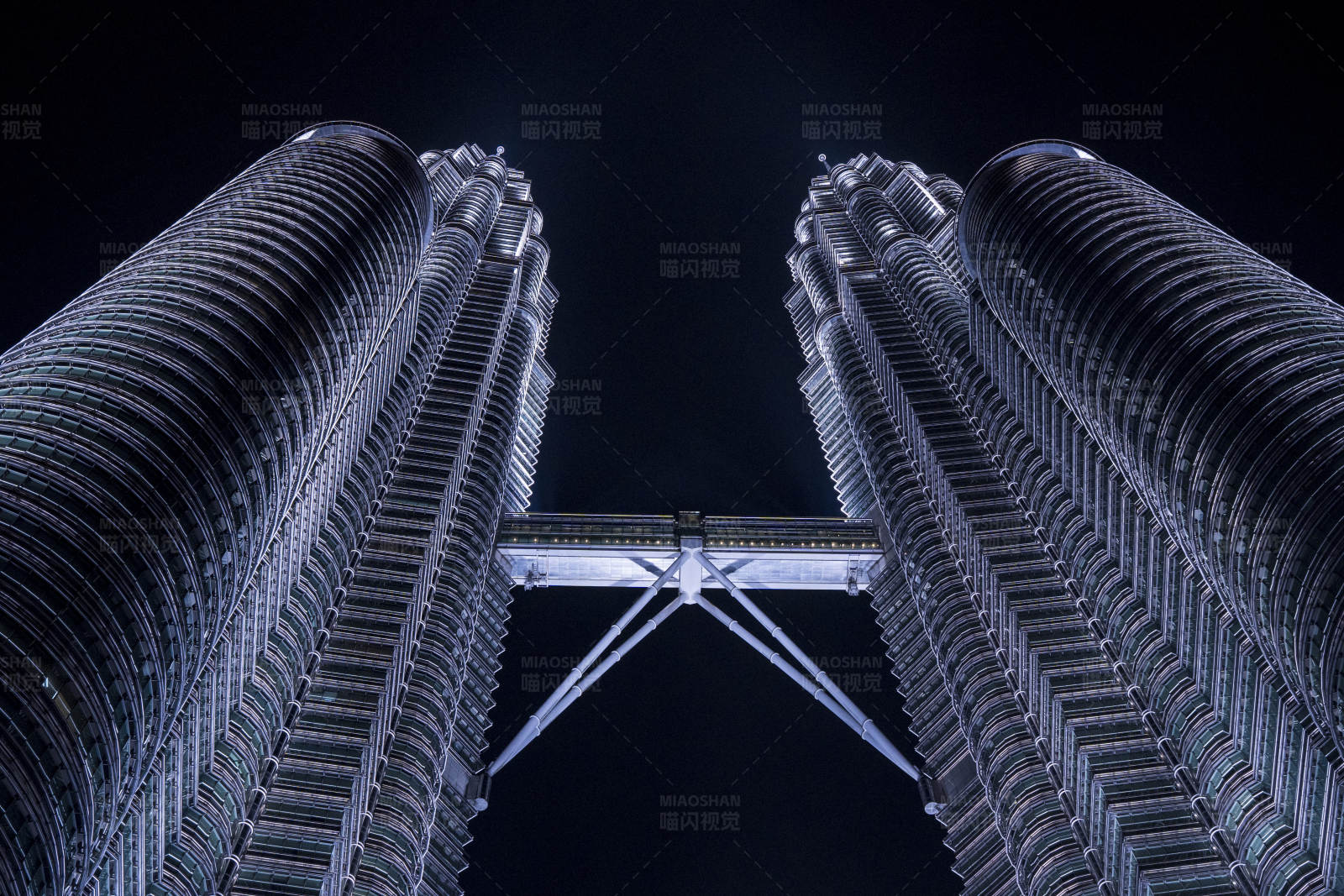雙子塔夜景