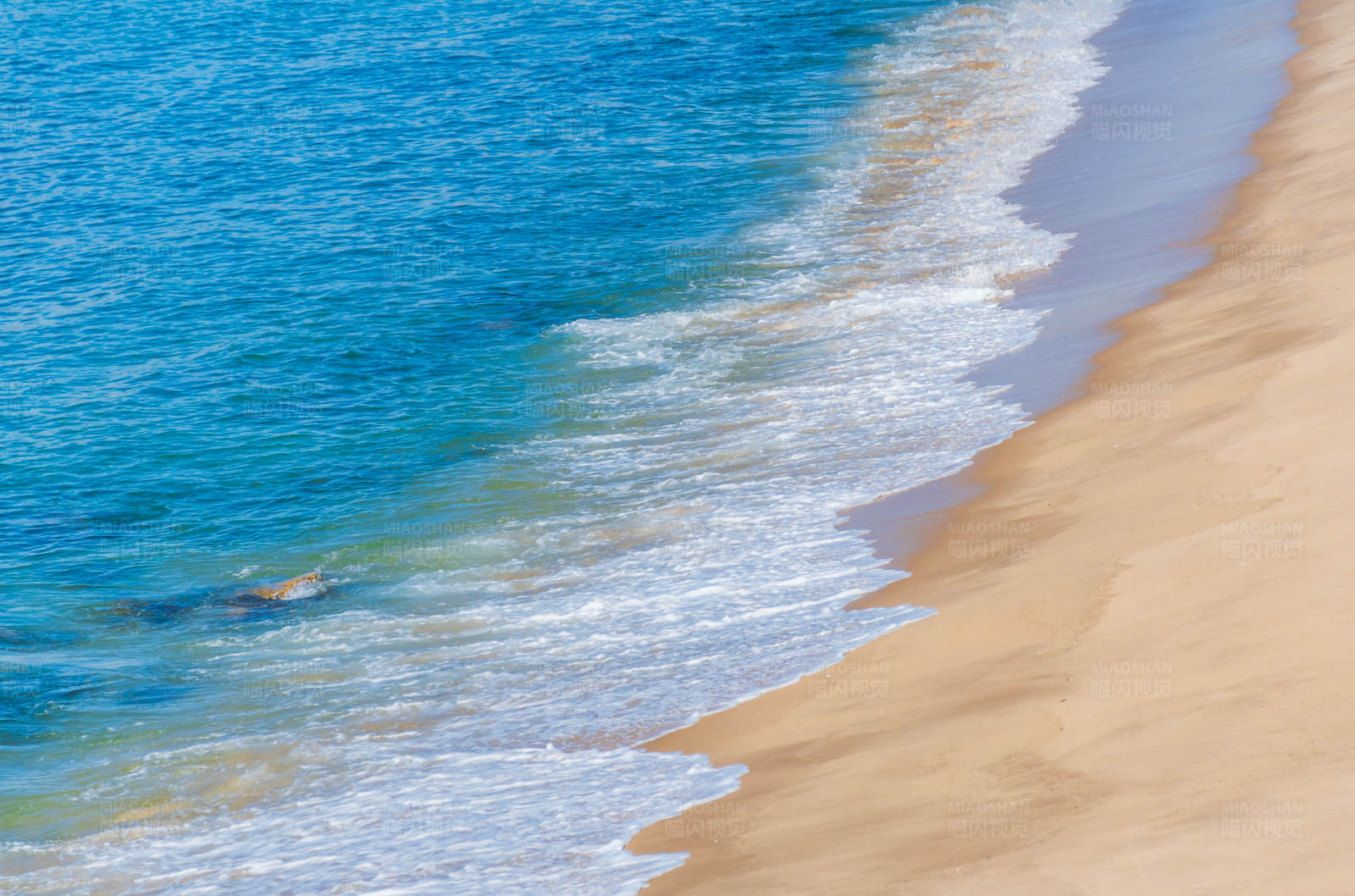海灘與海浪