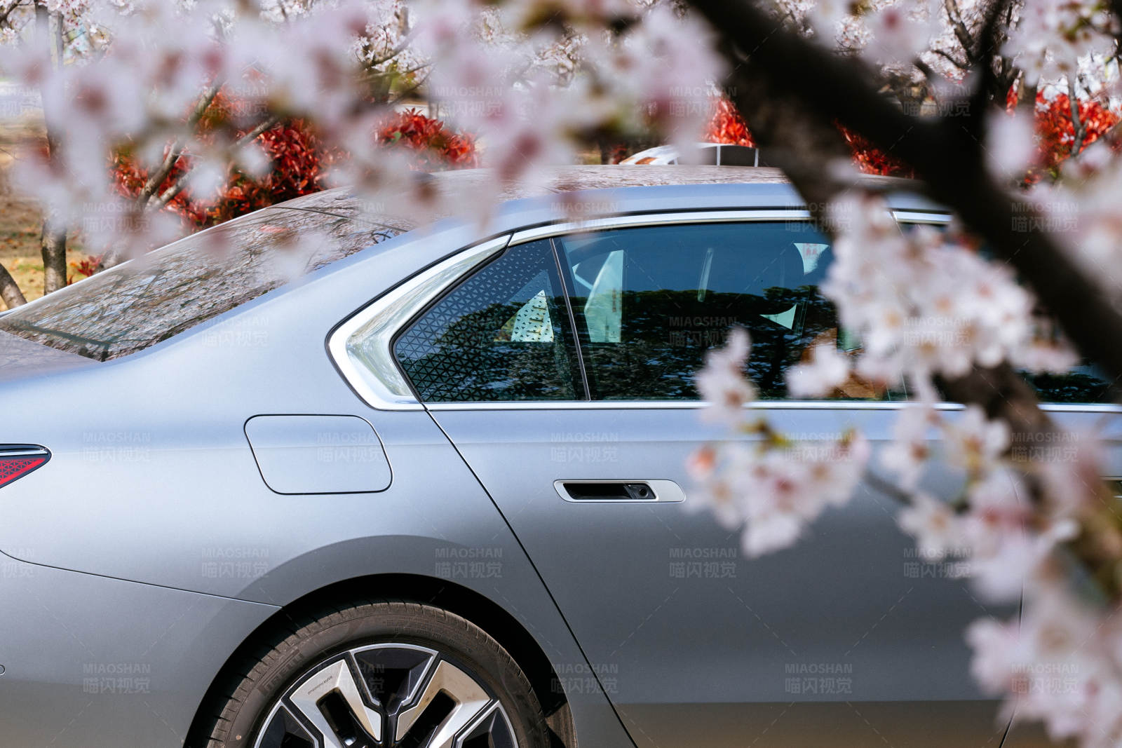 櫻花下的銀色轎車