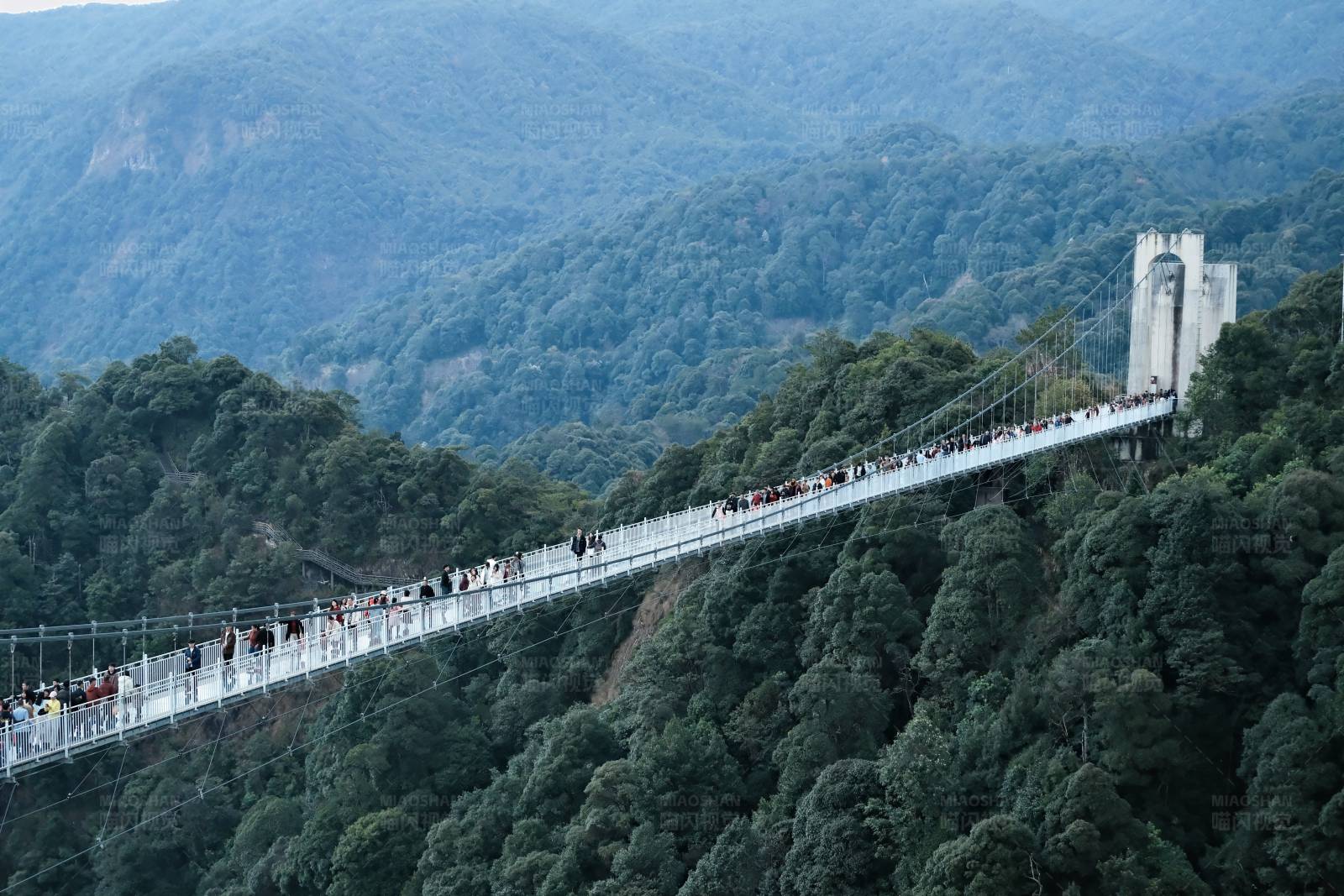 山間懸索橋