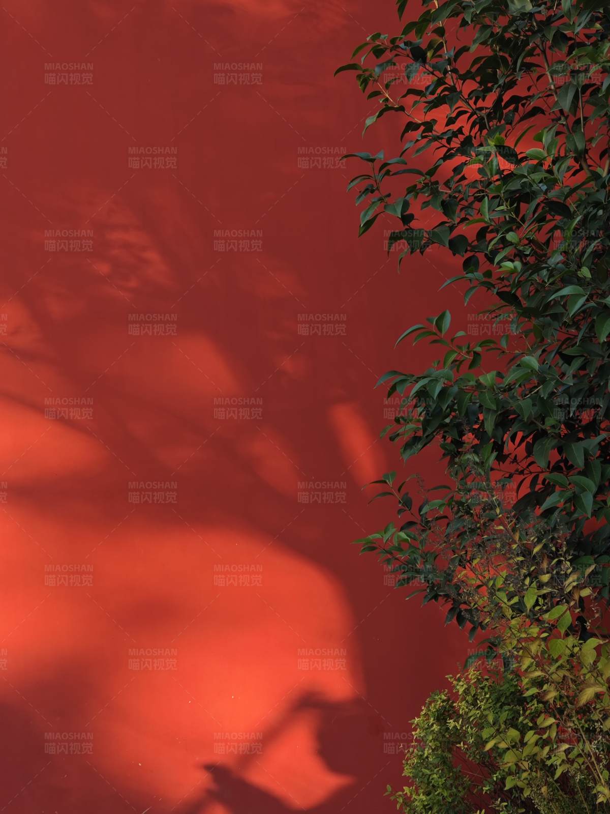 紅墻綠樹影