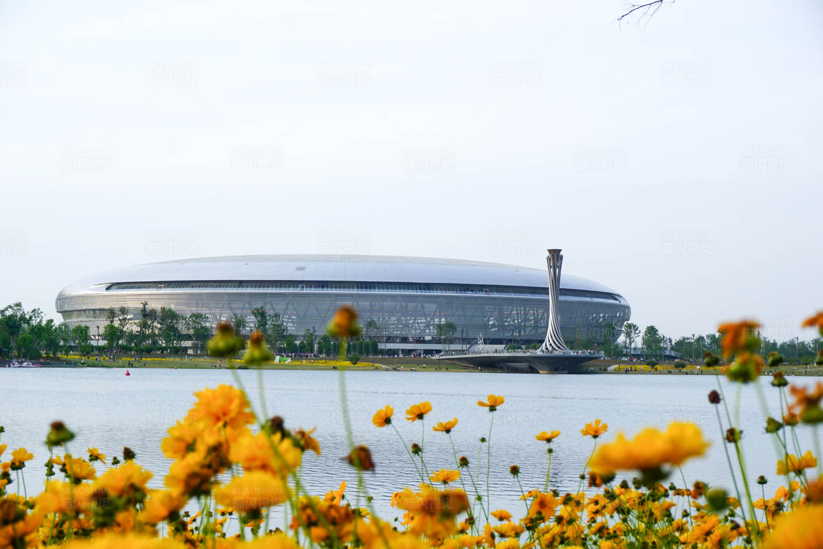 湖畔花海與現代建筑
