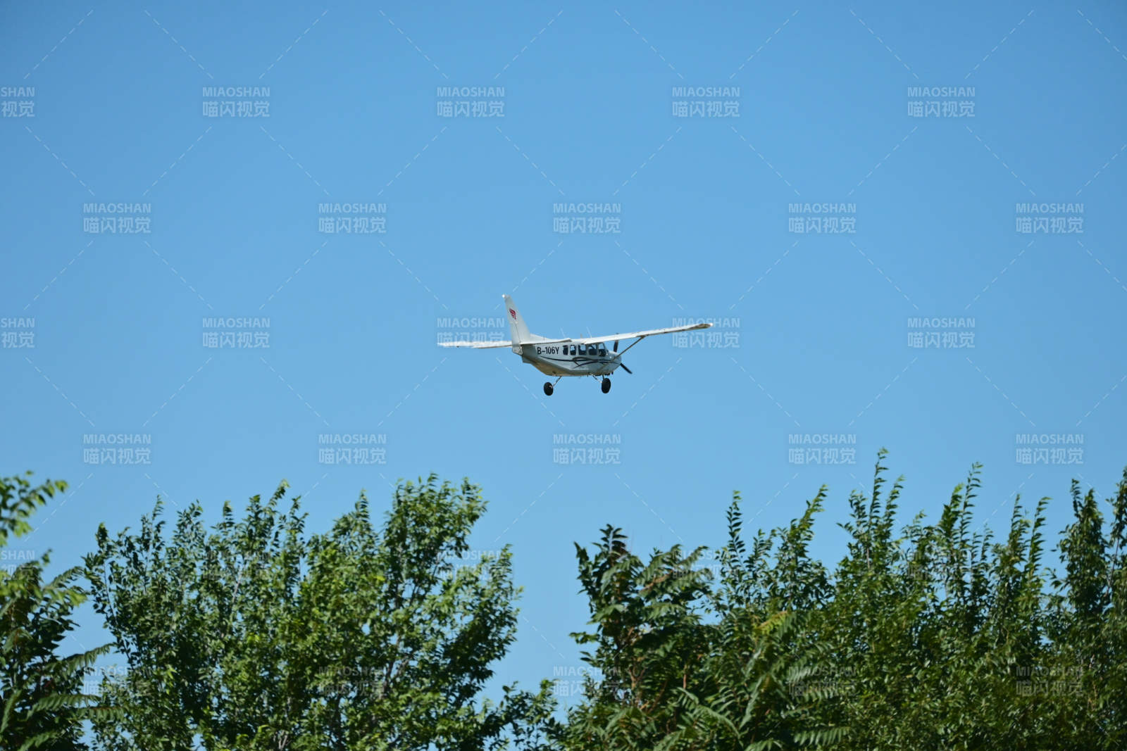 小飛機飛越樹梢