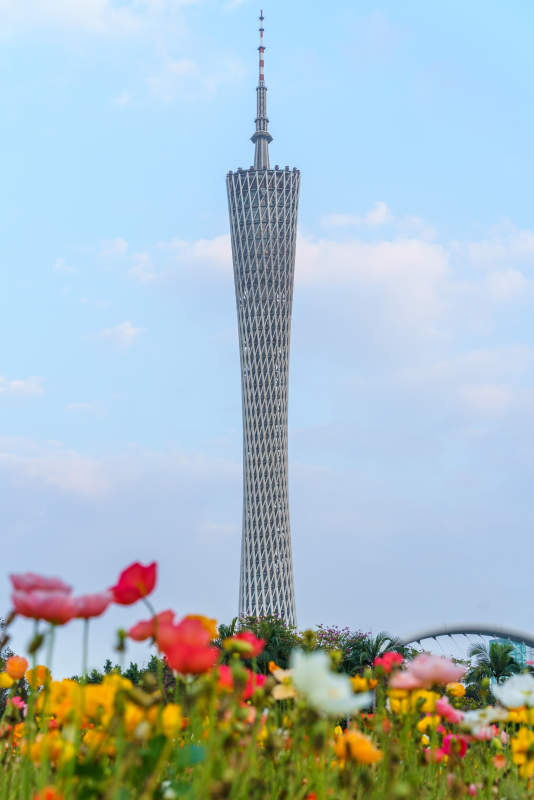 廣州塔花海