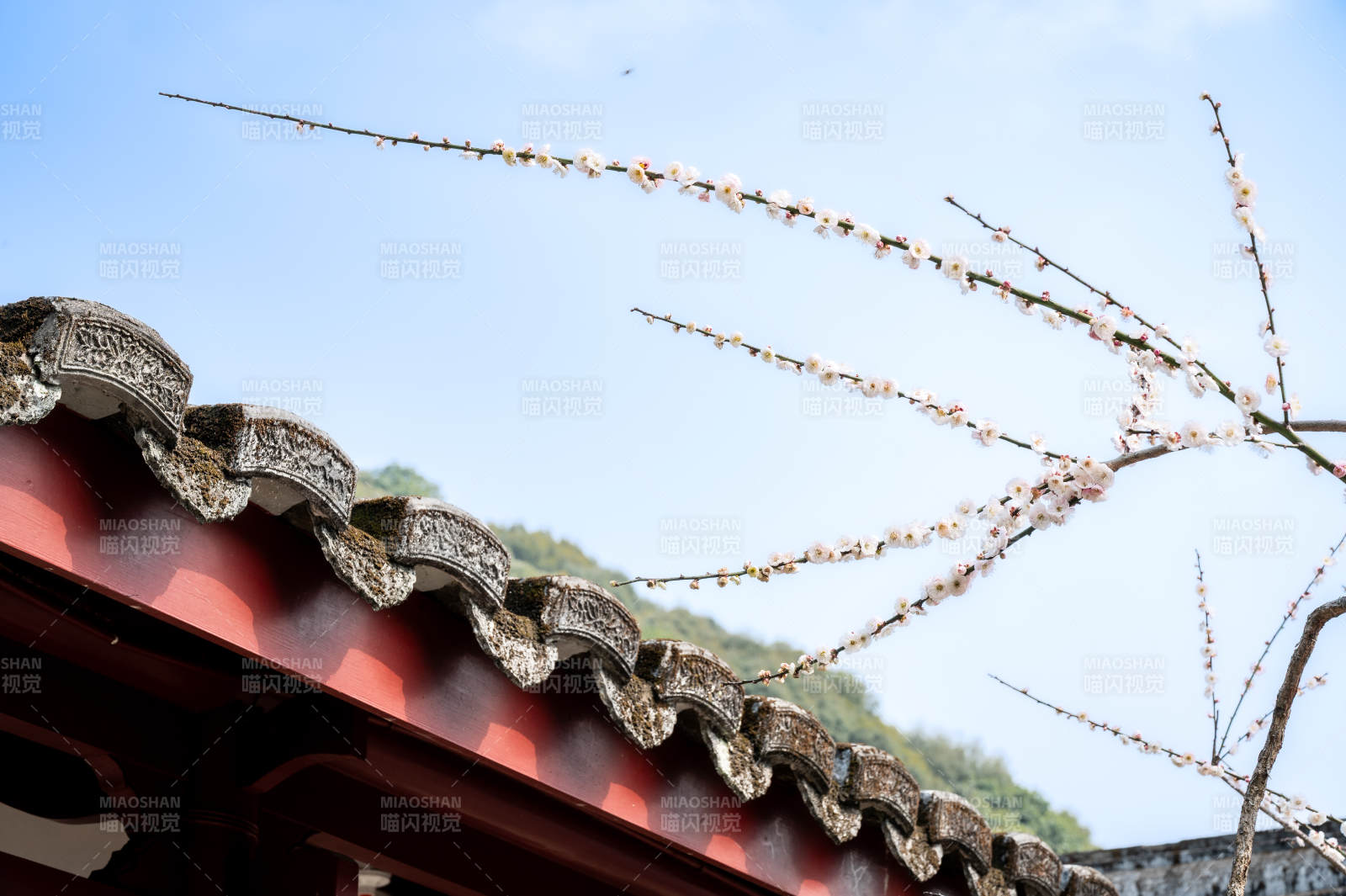 古寺春色