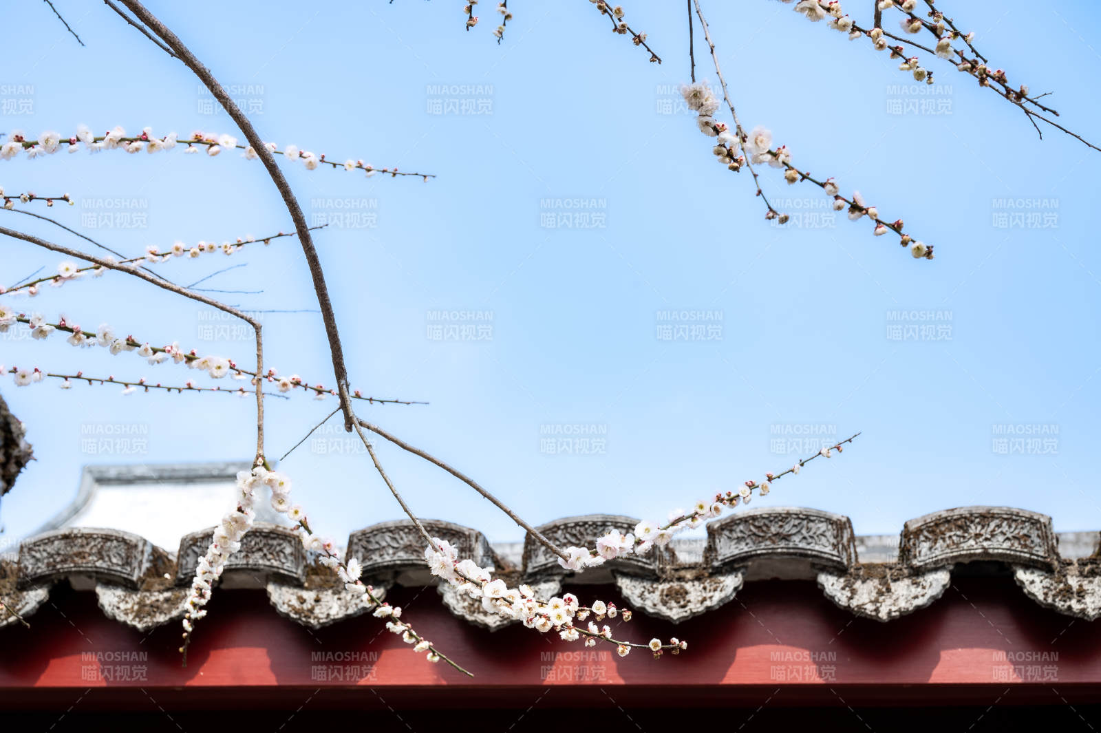 春花爛漫 古建筑屋頂