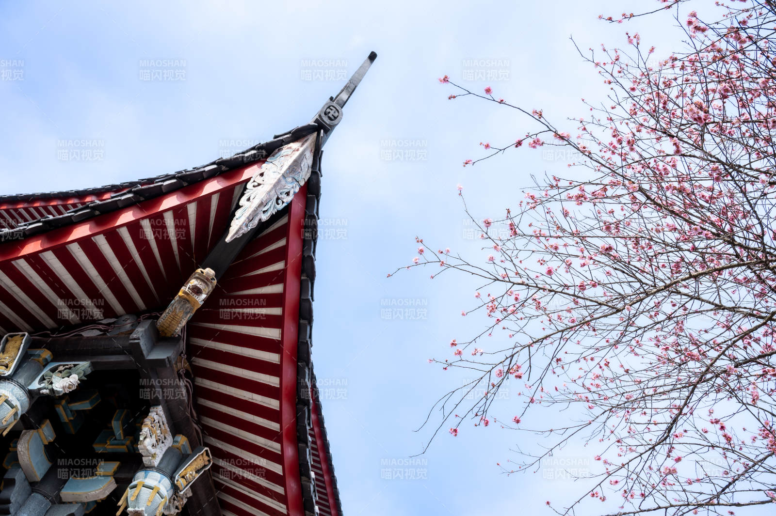 寺廟屋檐與櫻花