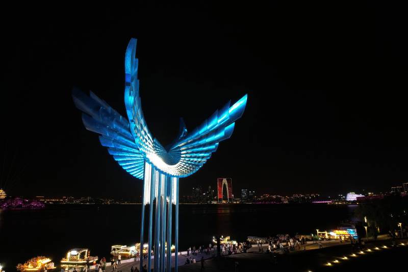 夜空下的藍色翅膀