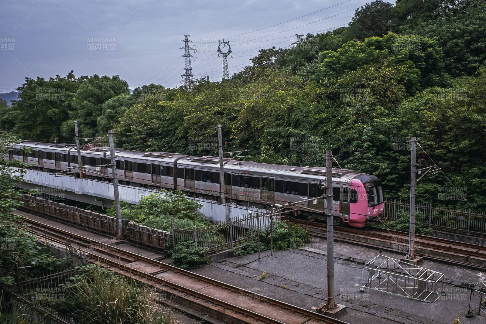 粉色火車穿越森林