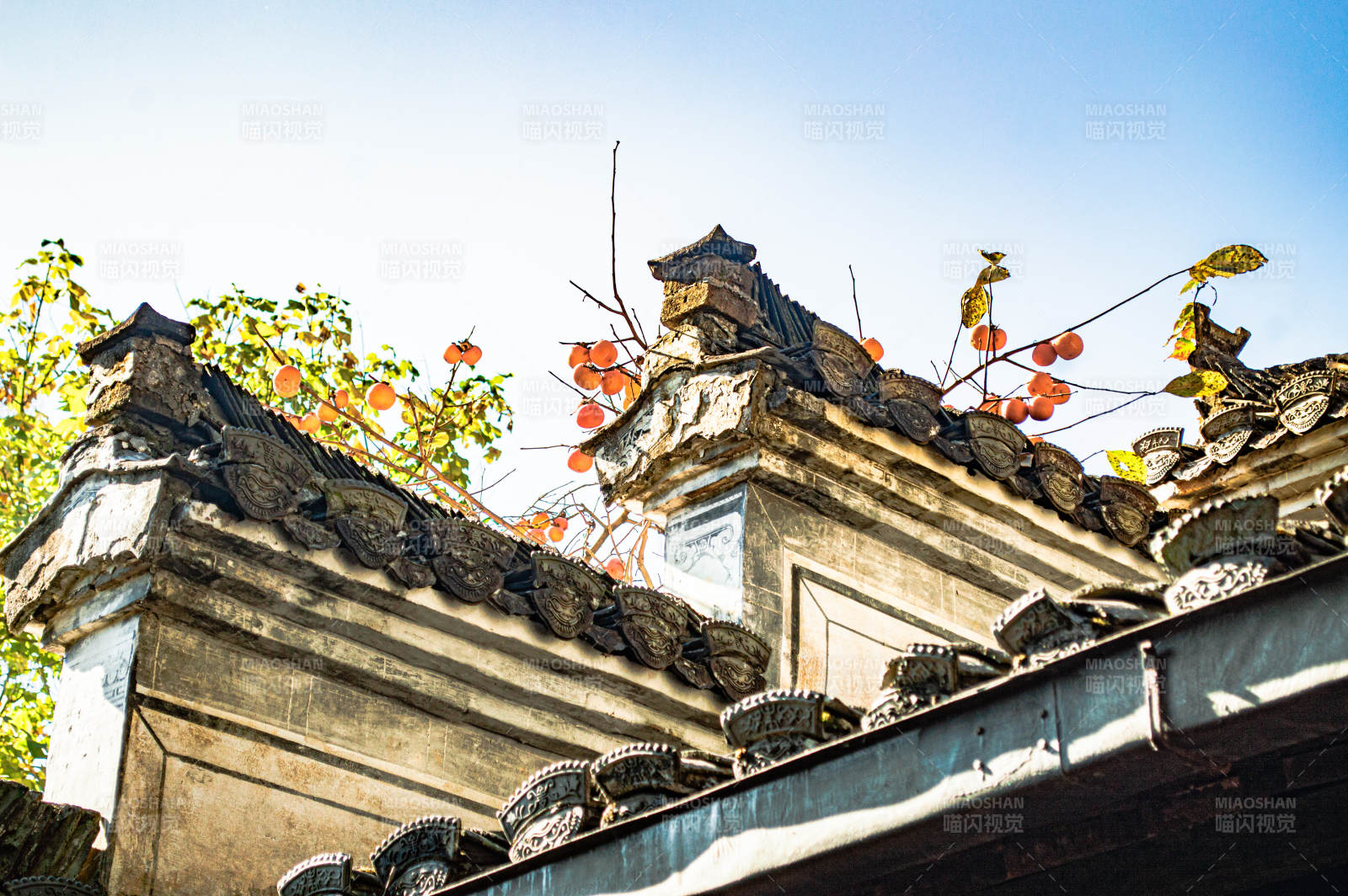 秋日古建筑屋頂柿子