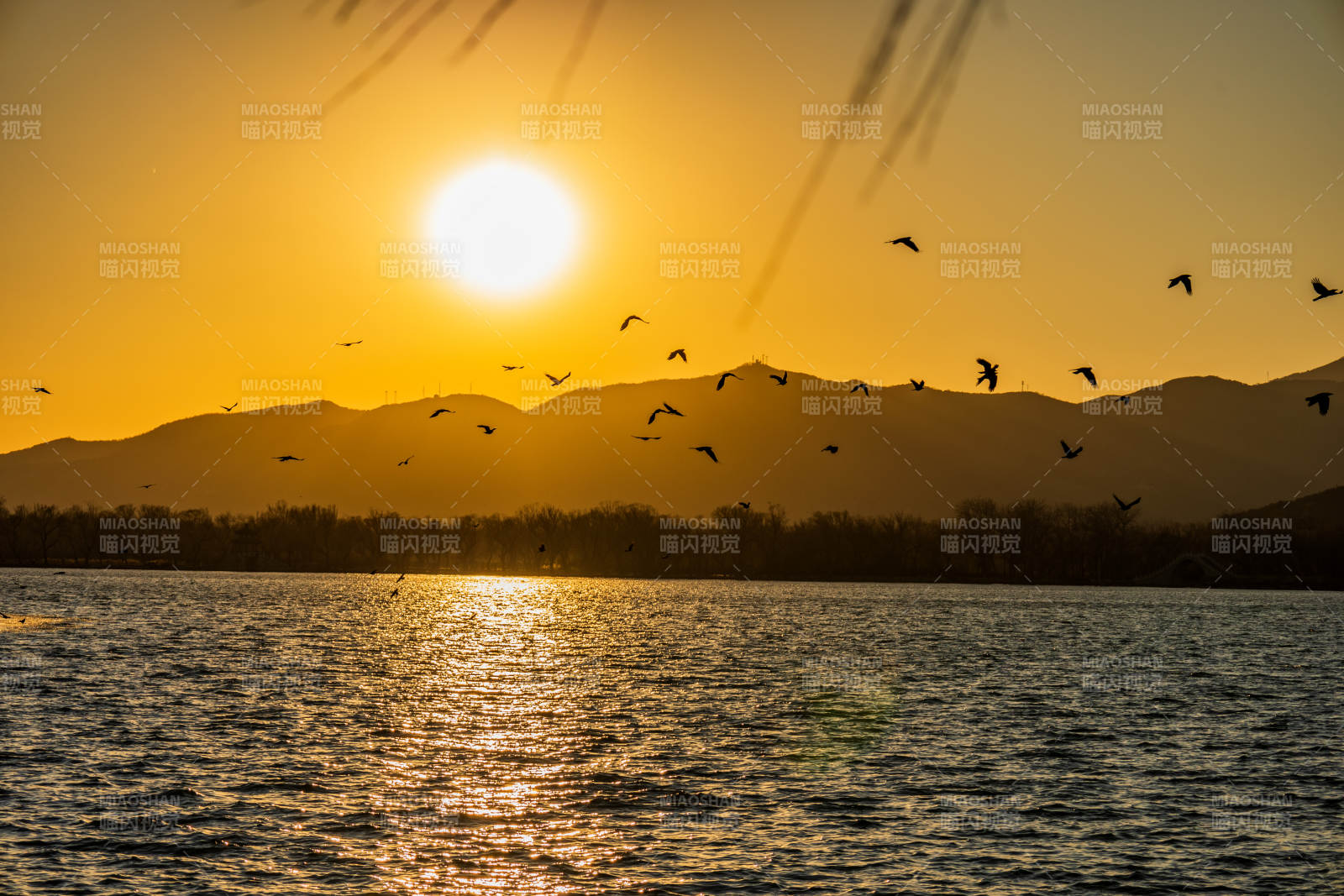 夕陽飛鳥湖光山色