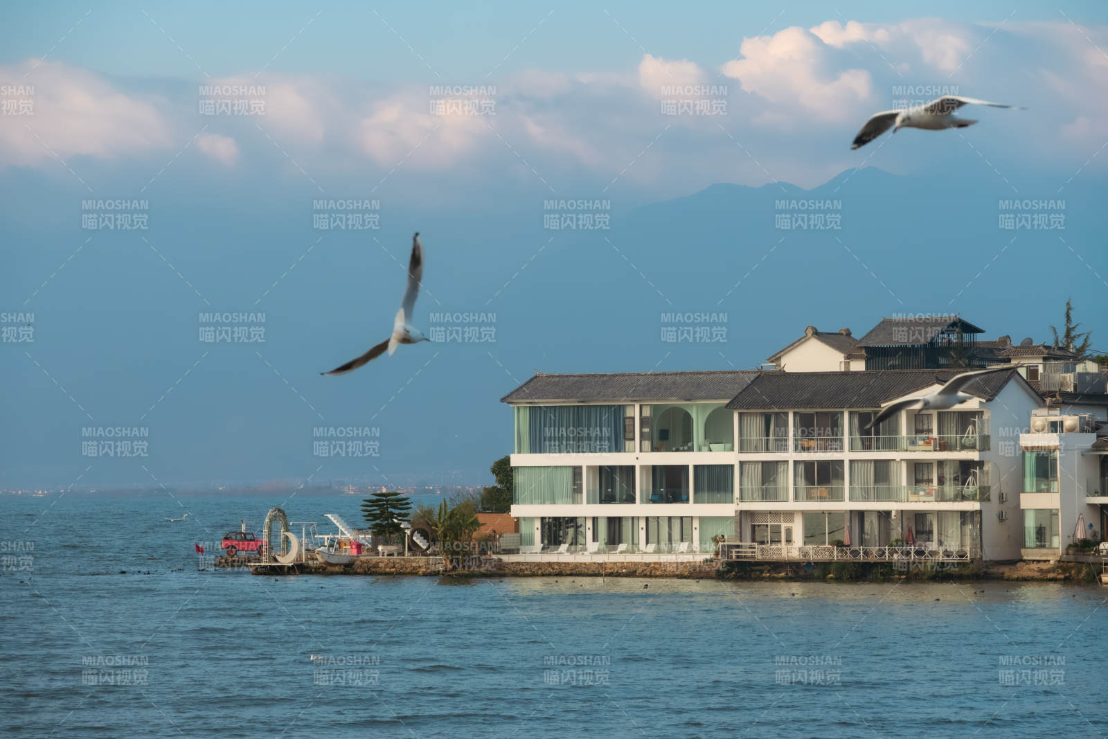 湖畔建筑與飛翔的海鷗