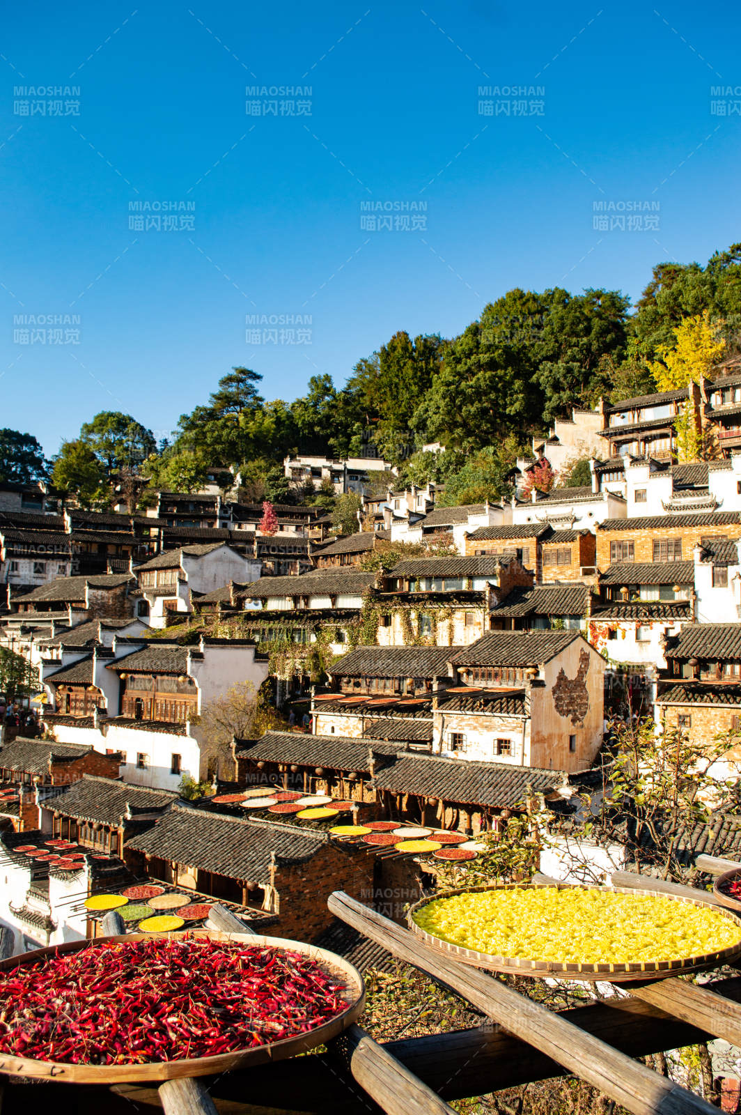 古村秋收景象