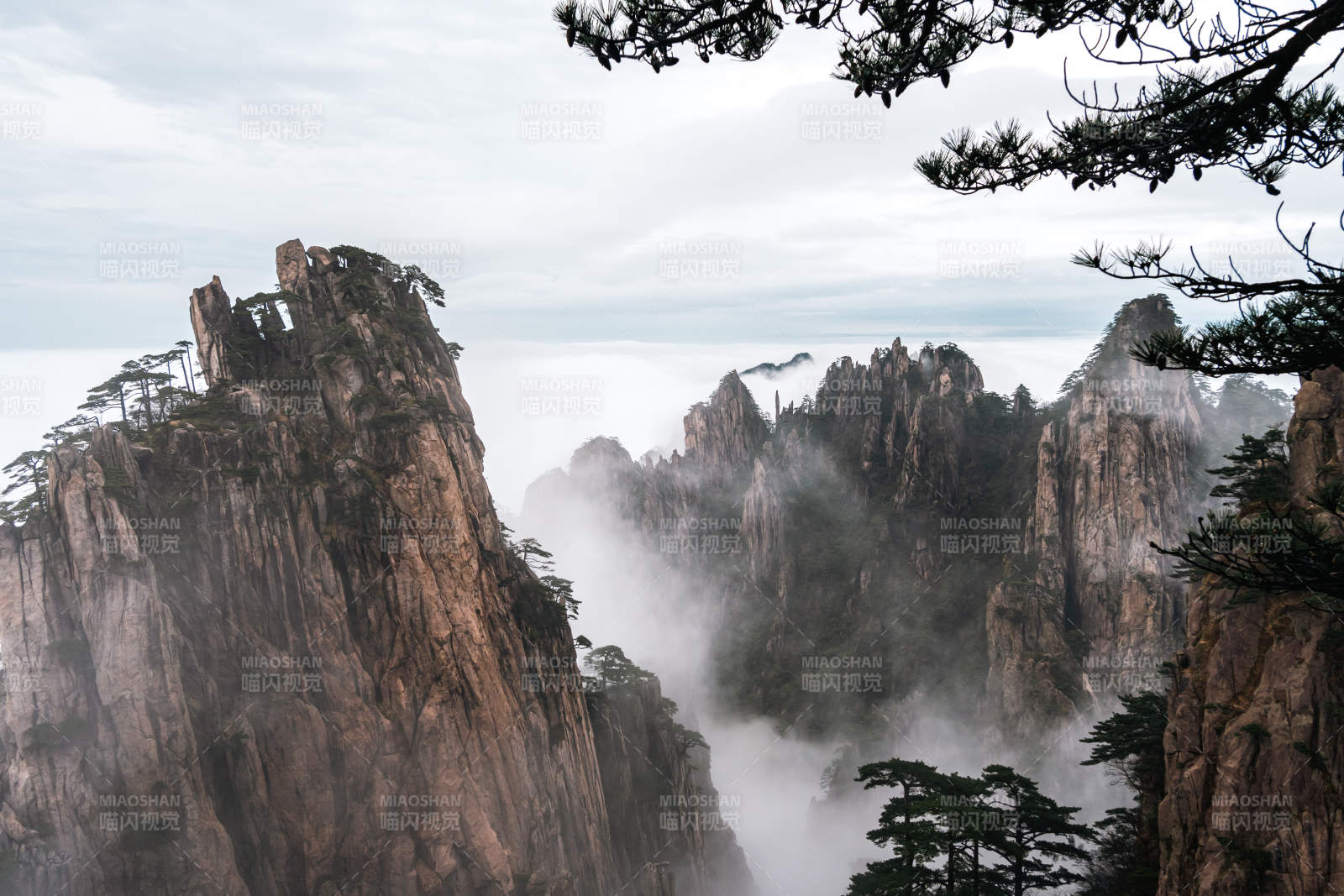 云海奇觀黃山