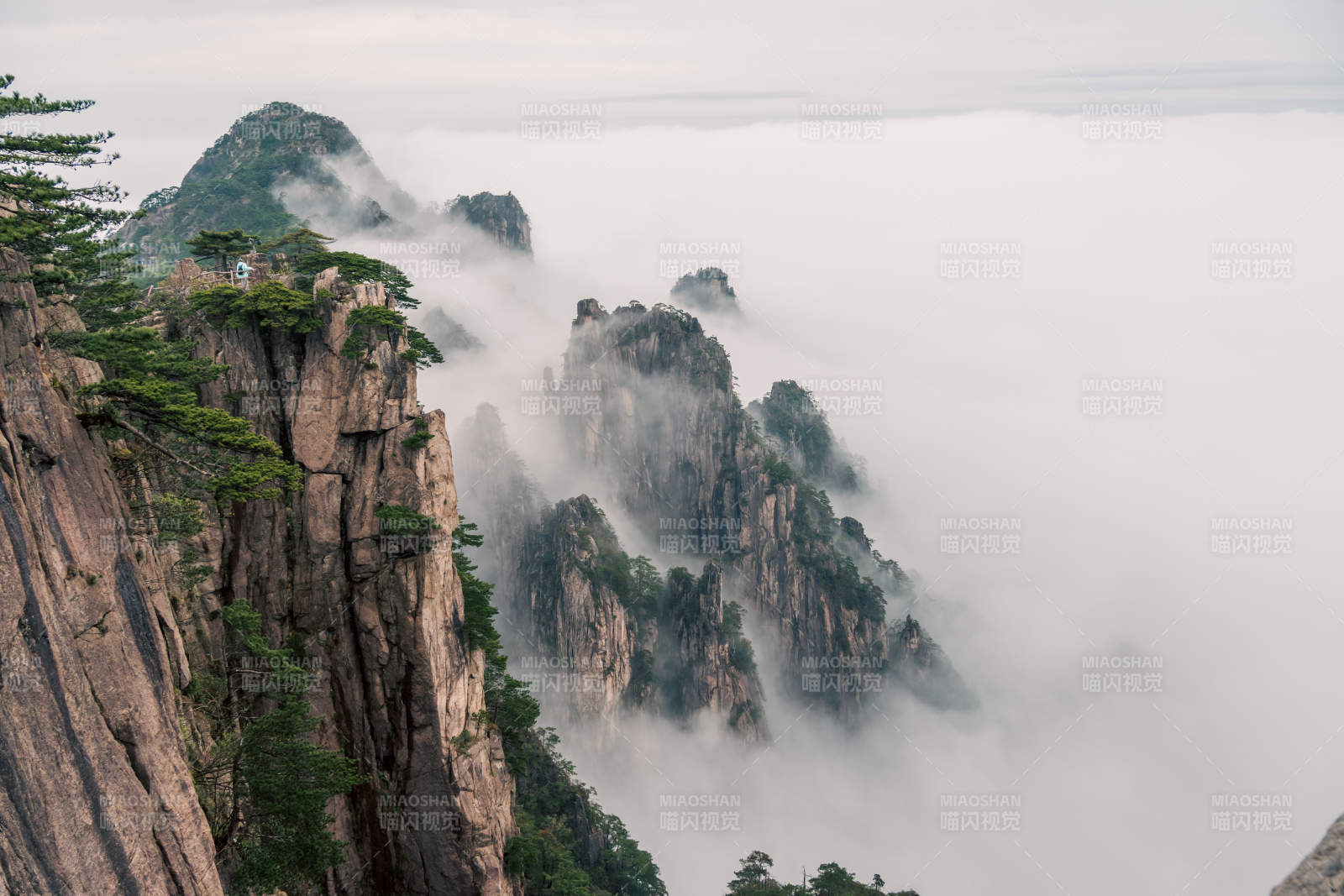 云海之上的黃山奇景