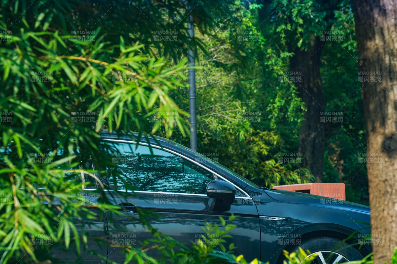 車在綠樹蔭下的寧靜