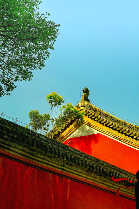 古建筑與綠樹