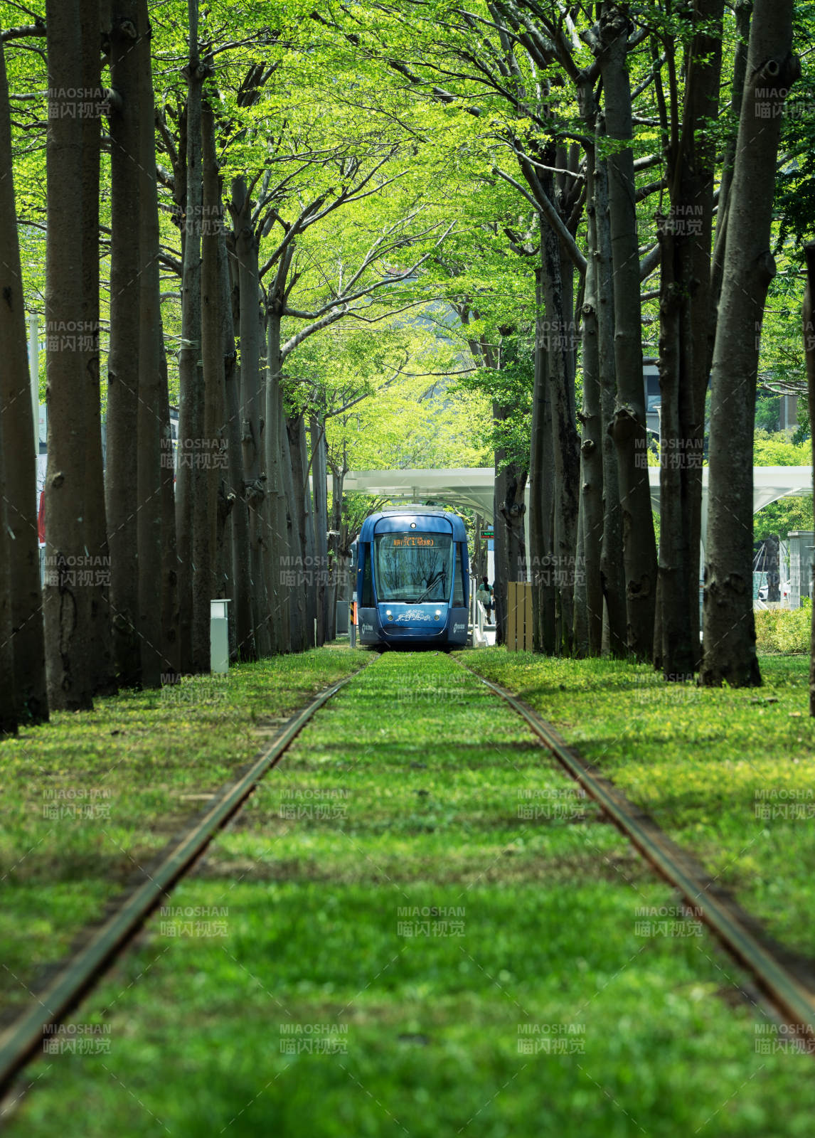 林間鐵軌上的藍色列車
