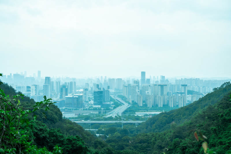 城市與自然的交匯