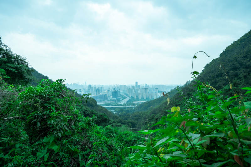山林中的城市遠景