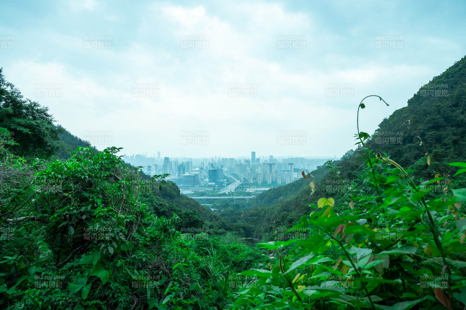 山林中的城市遠景