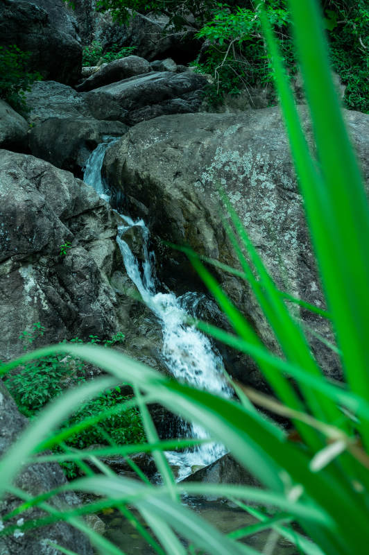 山間溪流穿過巖石
