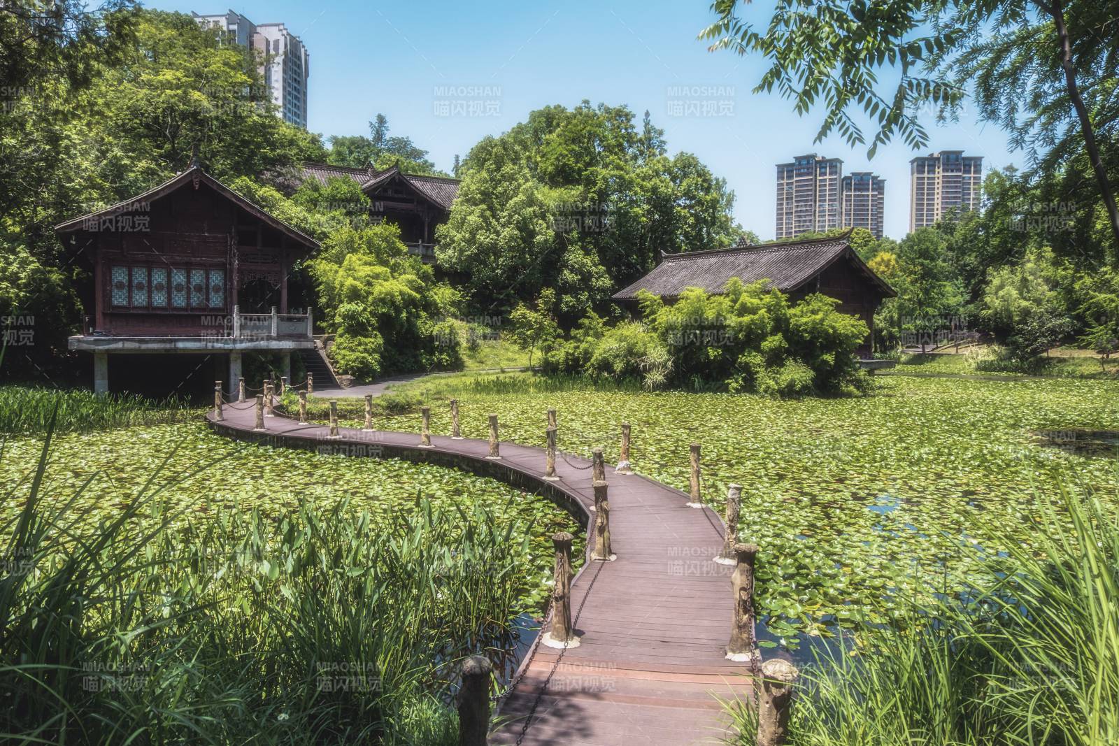 城市綠洲 木橋與古建筑