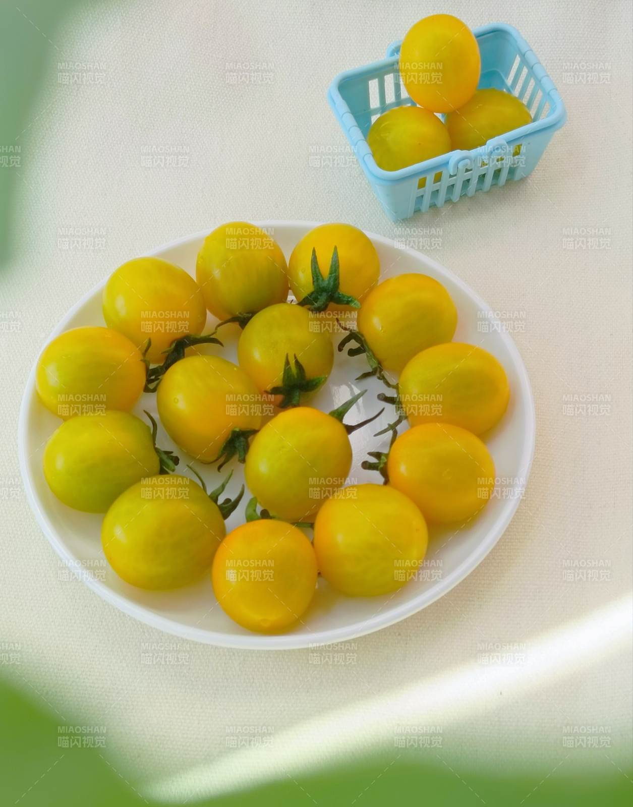 黃色小番茄 盤中美味