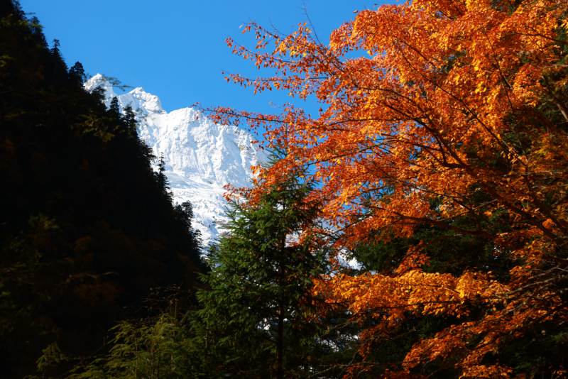 秋日山林