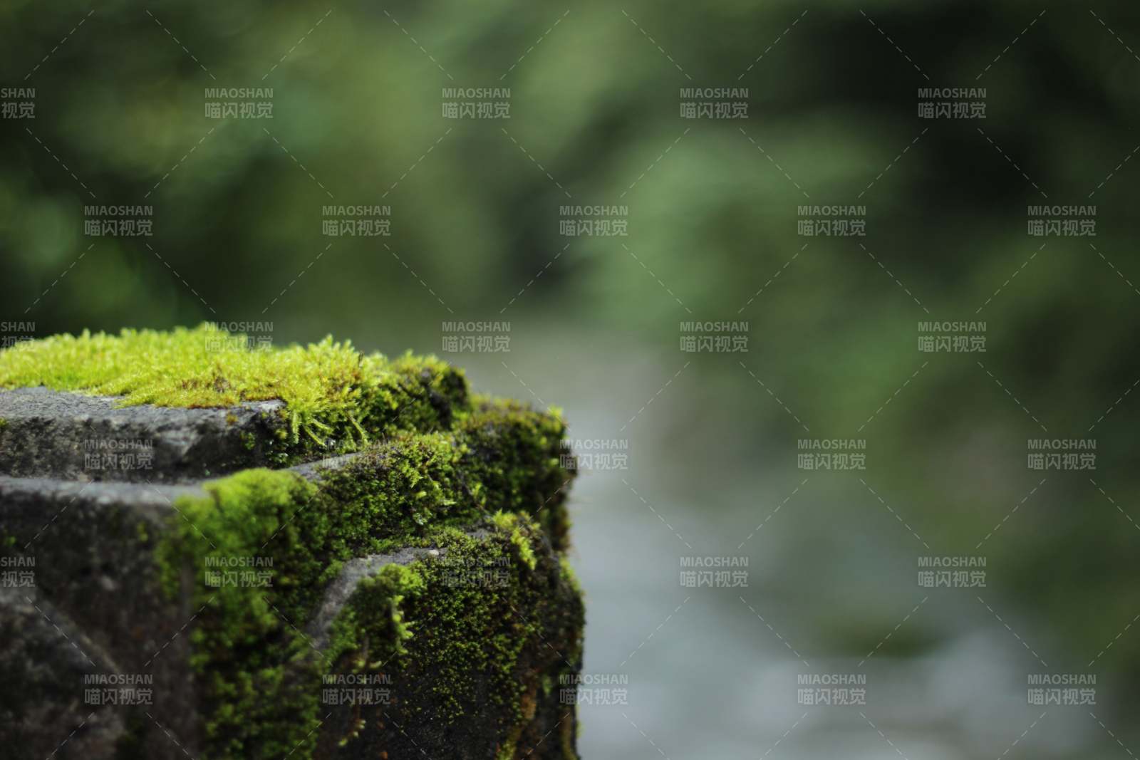 青苔石階