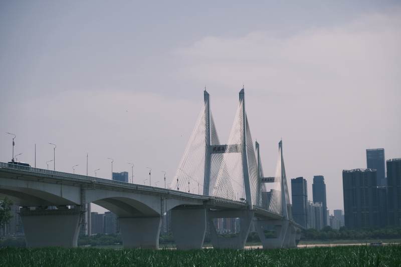 城市天际线与桥梁