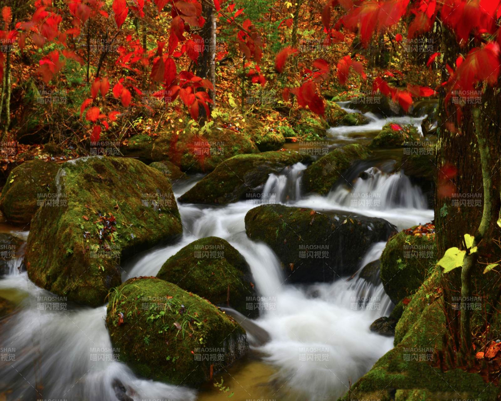 秋日山溪