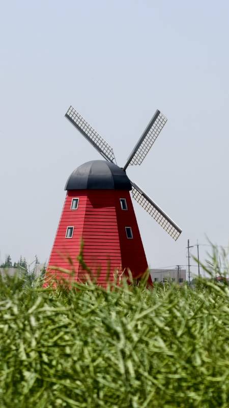 红色风车在田野