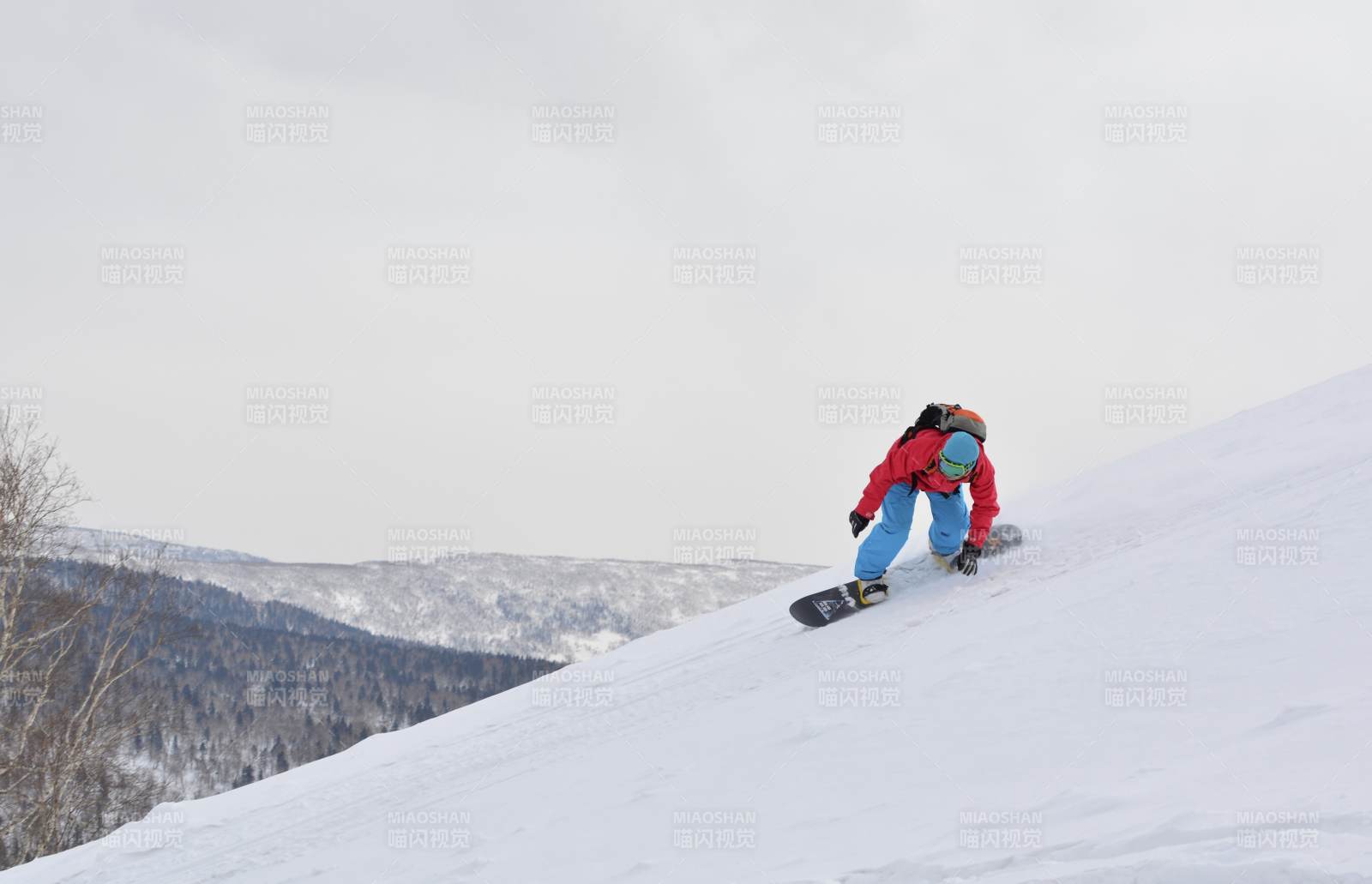 雪地滑板