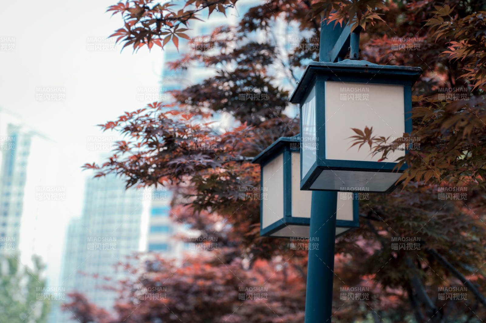 城市秋景中的路燈