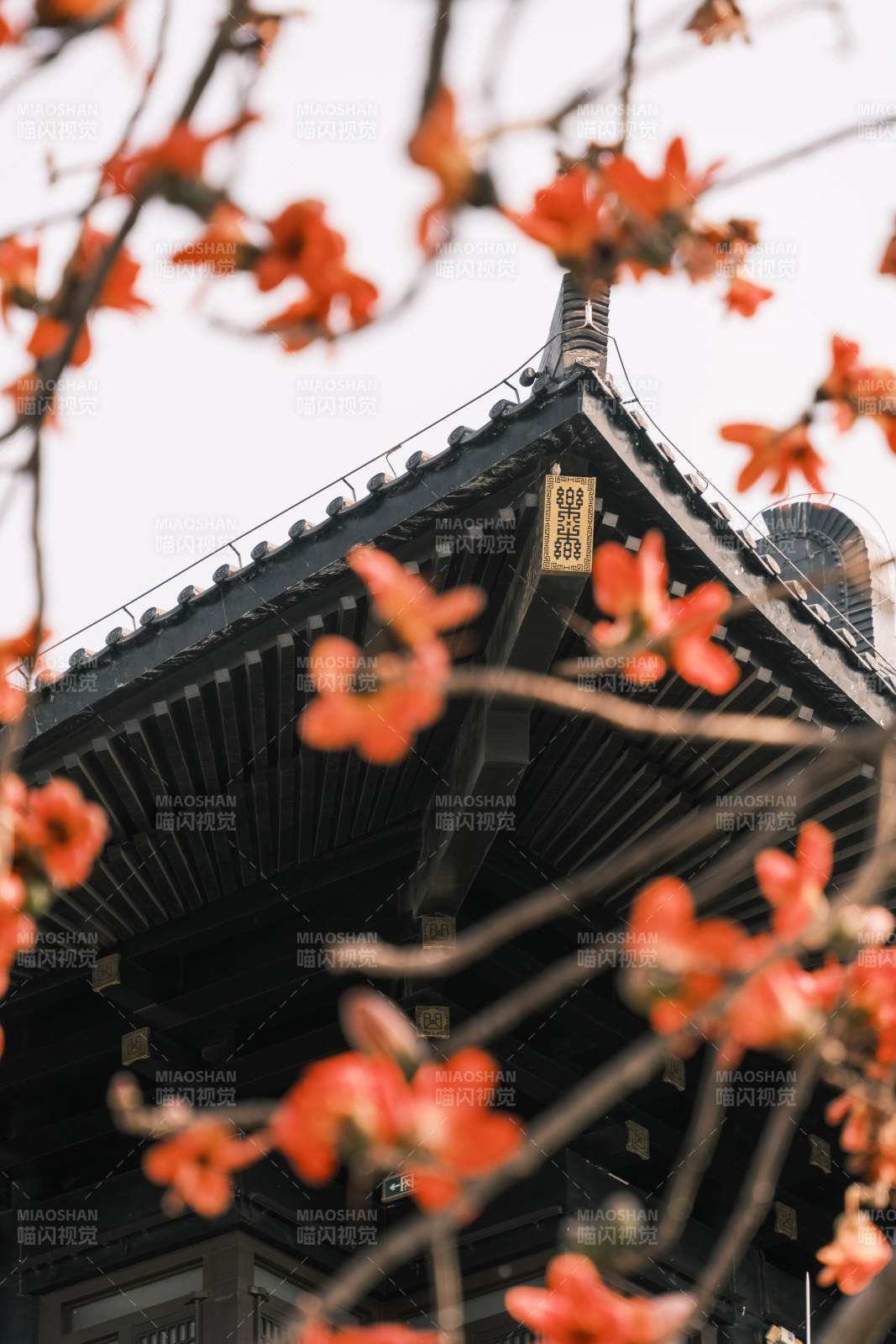 古剎春花
