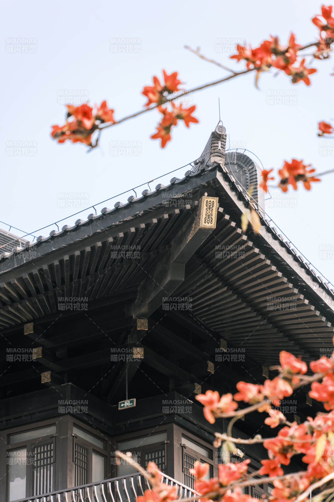 古建筑與紅花