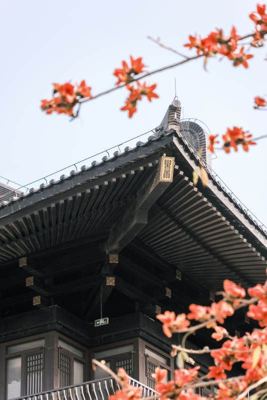 古建筑與紅花