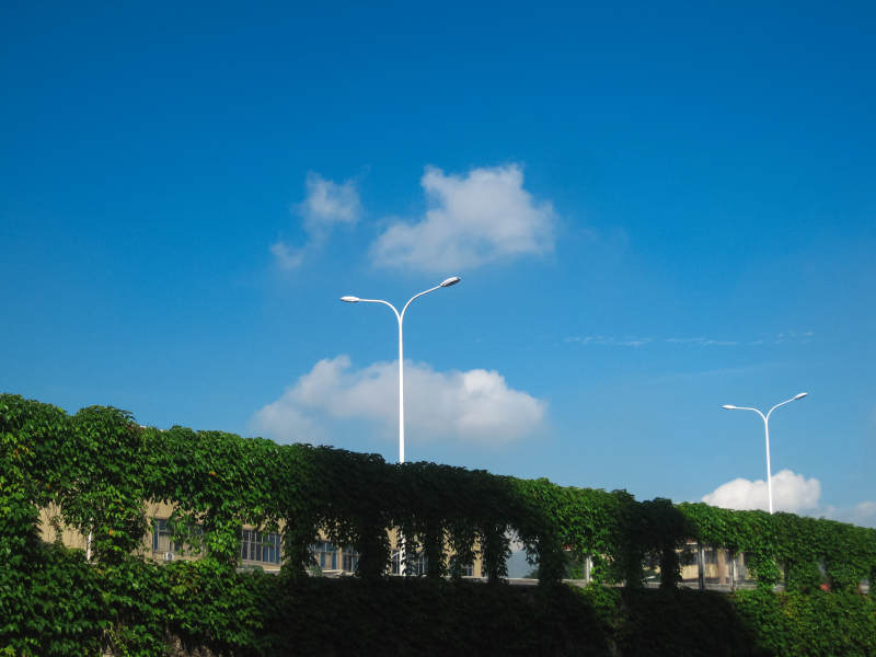 蓝天绿墙灯柱景