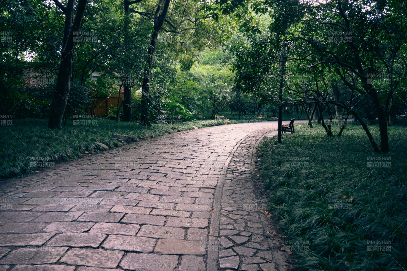 公園小徑