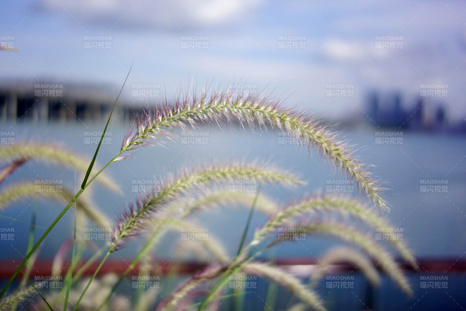 城市邊緣的自然美景