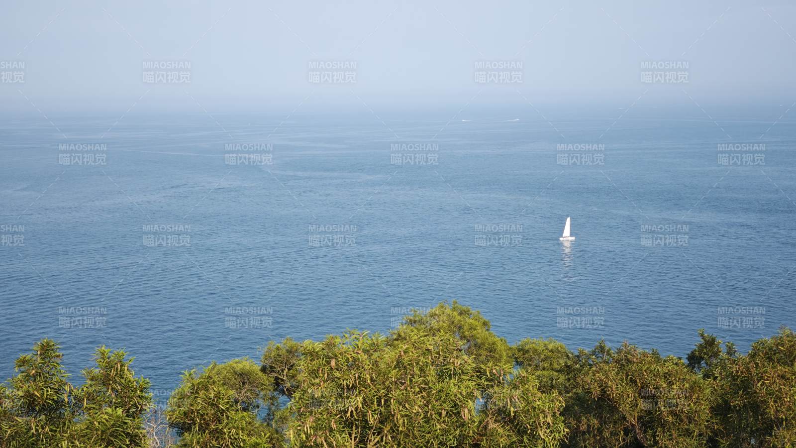 帆船遠航