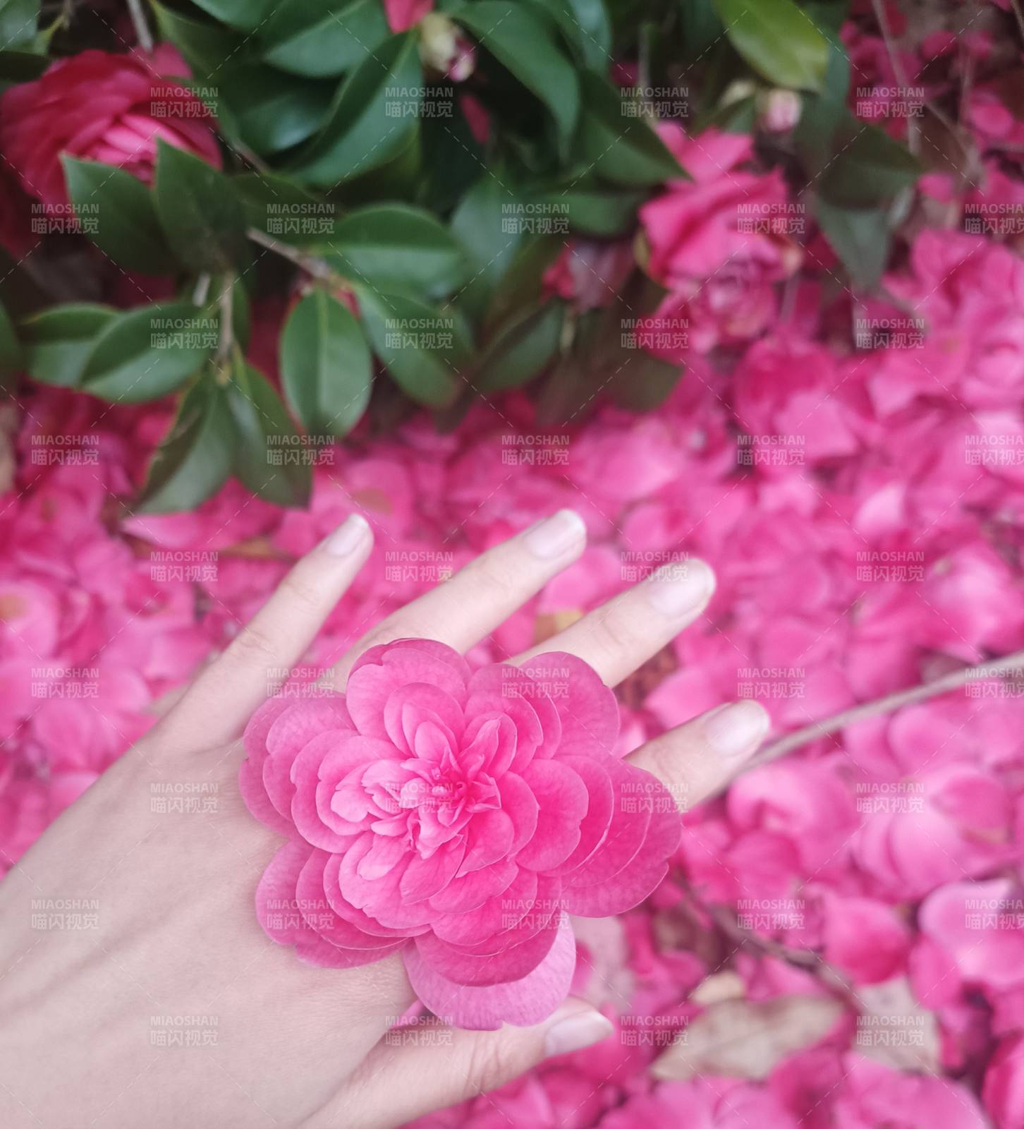 手指生花