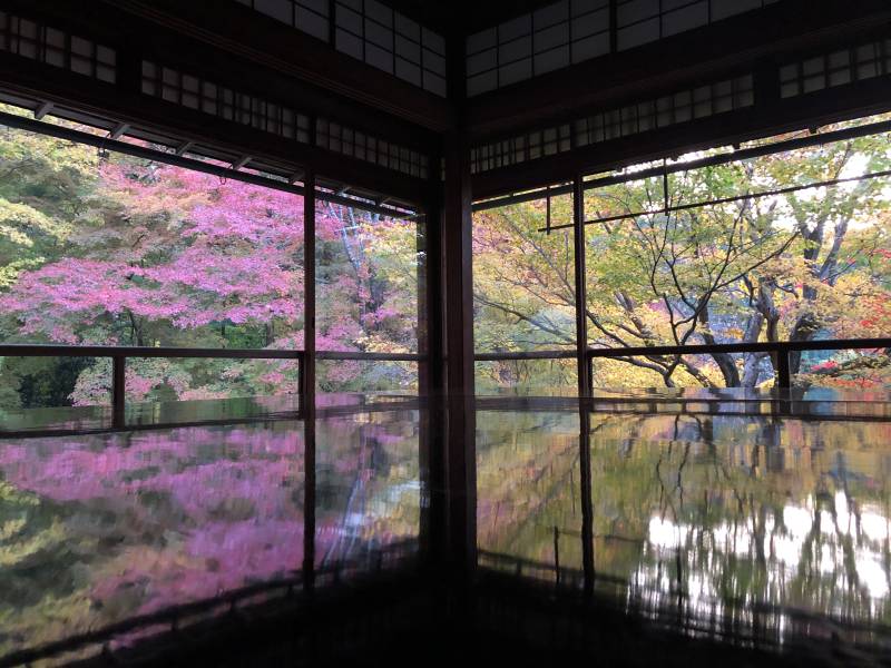 秋日庭院景