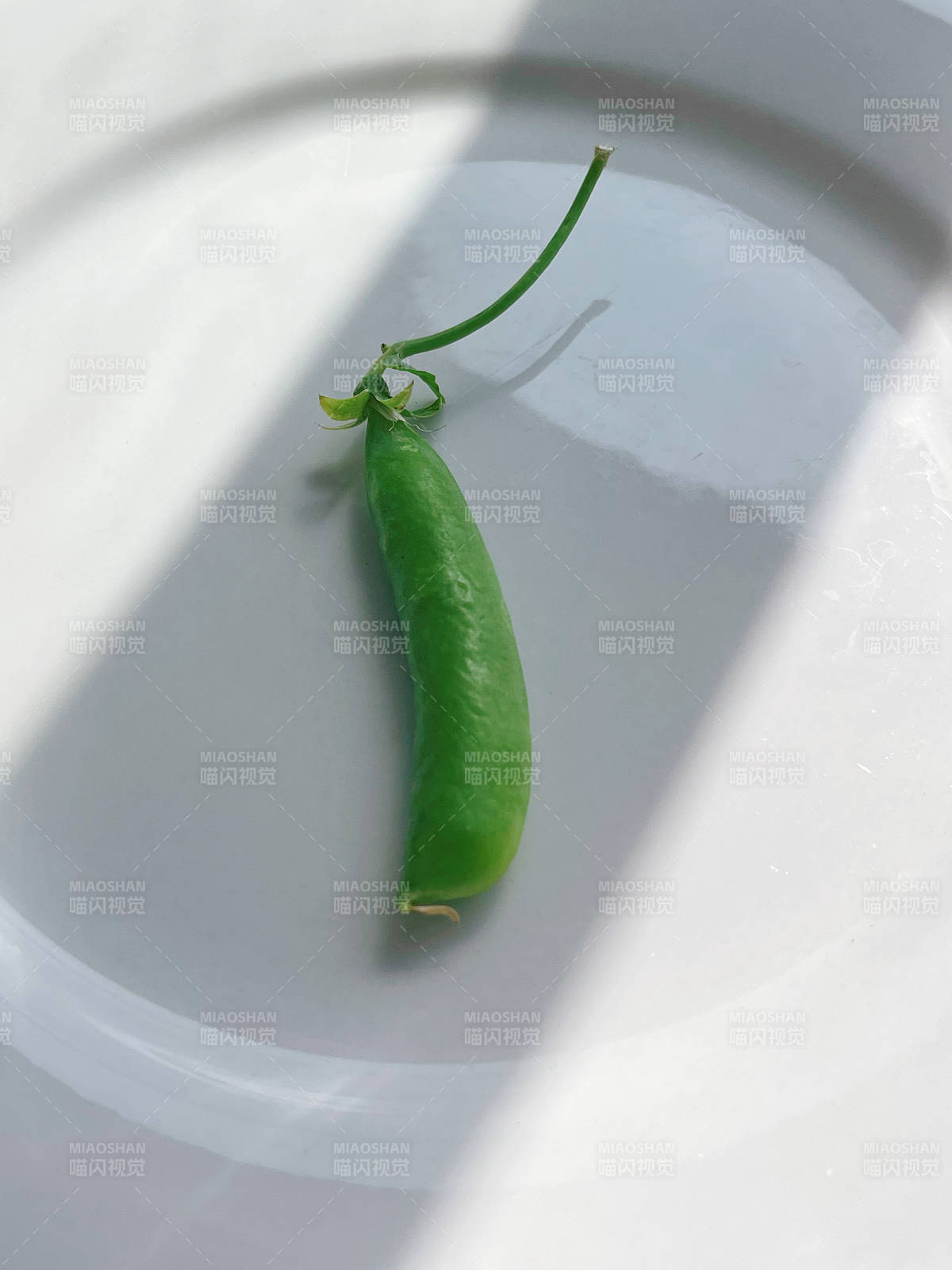 豌豆莢在白色盤子上