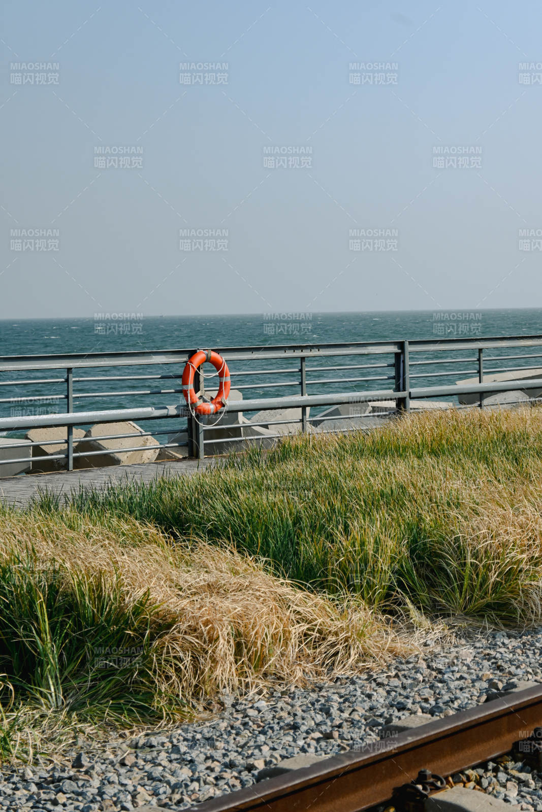 海邊救生圈