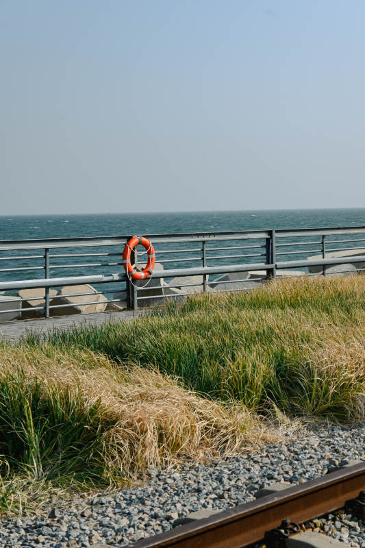 海边救生圈